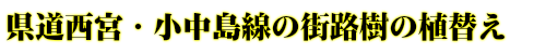 県道西宮・小中島線の街路樹の植替え